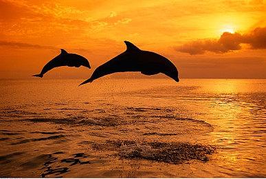 《奇迹时代4》公布“原始狂怒”DLC发售日预告 2月28日发售