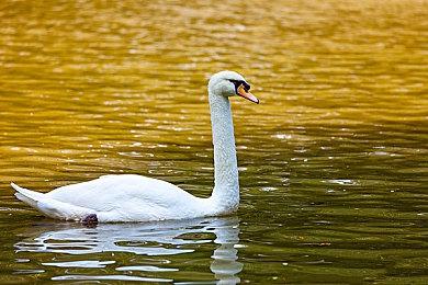 爆料称EA或考虑将《战地2042》改为免费游戏模式